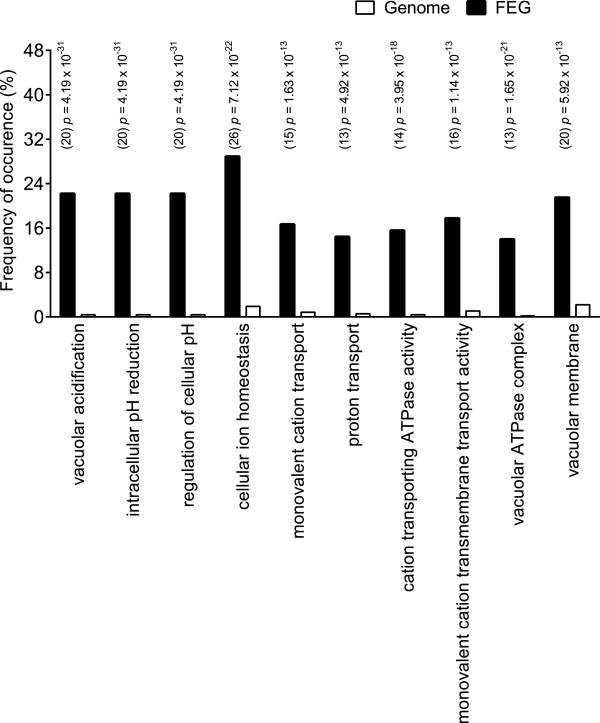 https://cdn.ncbi.nlm.nih.gov/pmc/blobs/8e2b/4099481/ea1c35a05649/12864_2013_6243_Fig4_HTML.jpg