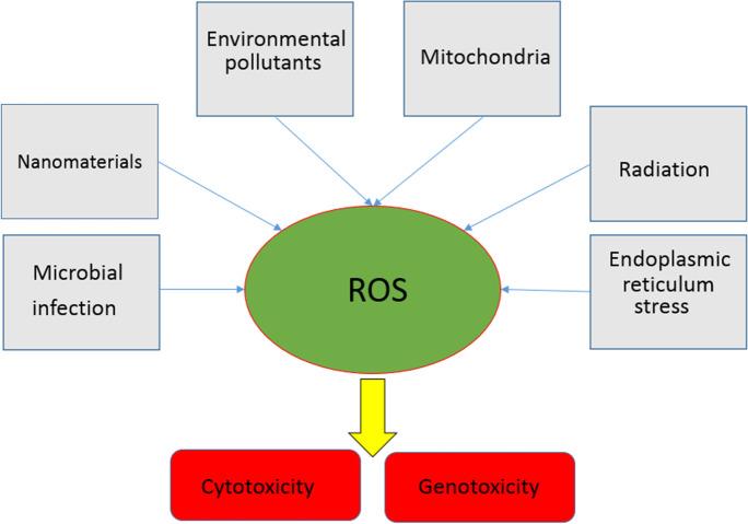 https://cdn.ncbi.nlm.nih.gov/pmc/blobs/8e2b/9970140/3eaf91134944/11051_2023_5690_Fig5_HTML.jpg