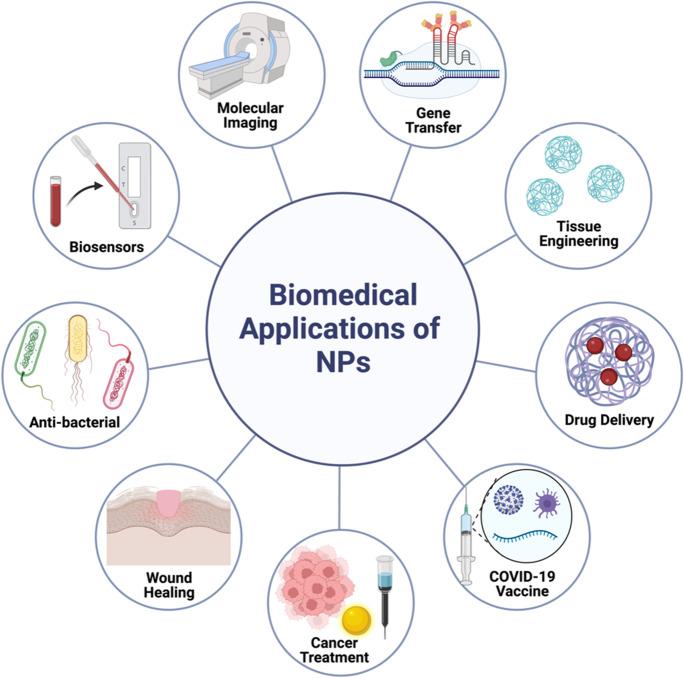 https://cdn.ncbi.nlm.nih.gov/pmc/blobs/8e2b/9970140/85170bdaf0ce/11051_2023_5690_Fig3_HTML.jpg