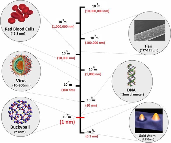 https://cdn.ncbi.nlm.nih.gov/pmc/blobs/8e2b/9970140/9f452ffbf8f2/11051_2023_5690_Fig1_HTML.jpg