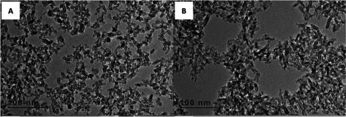 https://cdn.ncbi.nlm.nih.gov/pmc/blobs/8e2b/9970140/9f63f83aea50/11051_2023_5690_Fig13_HTML.jpg