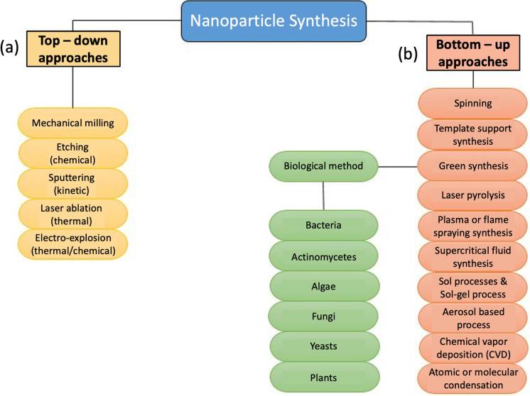 https://cdn.ncbi.nlm.nih.gov/pmc/blobs/8e2b/9970140/fe9e230aab2d/11051_2023_5690_Fig2_HTML.jpg