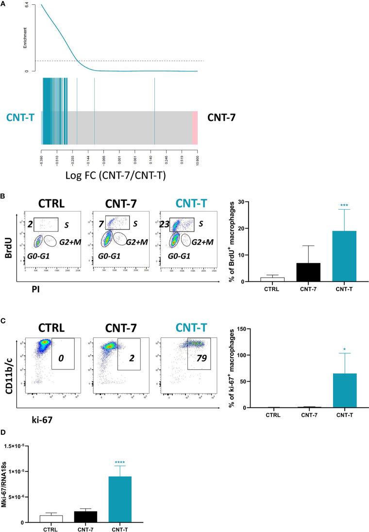 https://cdn.ncbi.nlm.nih.gov/pmc/blobs/8e2d/8236701/329f8d560663/fimmu-12-666107-g005.jpg