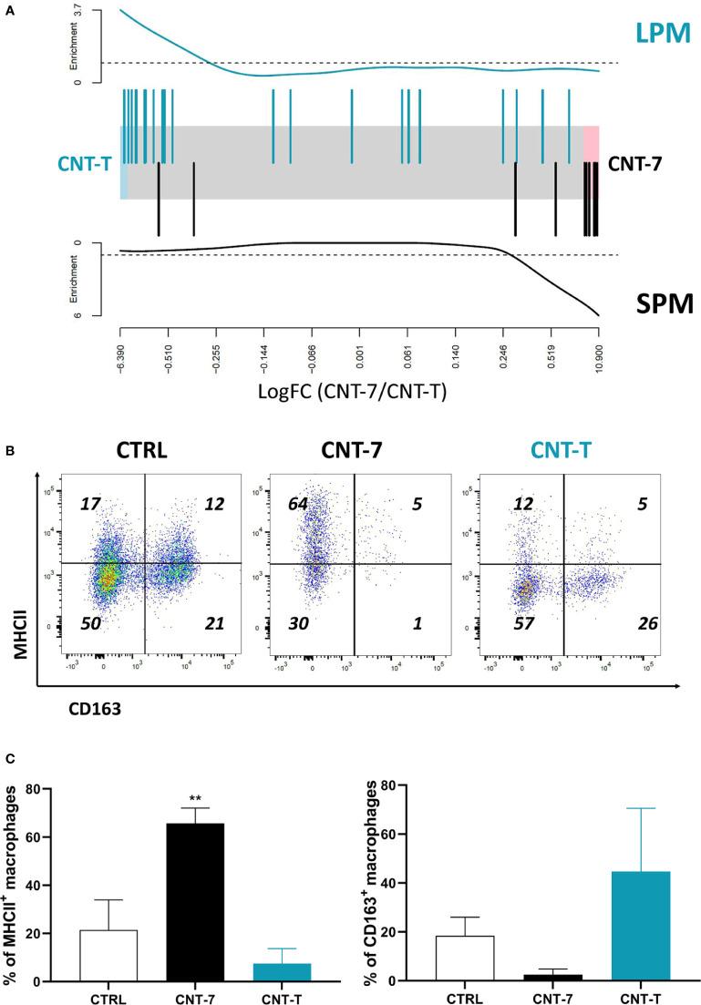 https://cdn.ncbi.nlm.nih.gov/pmc/blobs/8e2d/8236701/ecdb528170e2/fimmu-12-666107-g003.jpg