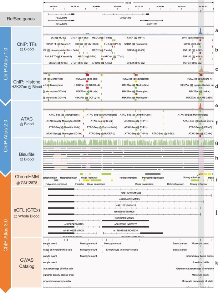 https://cdn.ncbi.nlm.nih.gov/pmc/blobs/8e2f/11223792/8d337031068c/gkae358fig1.jpg