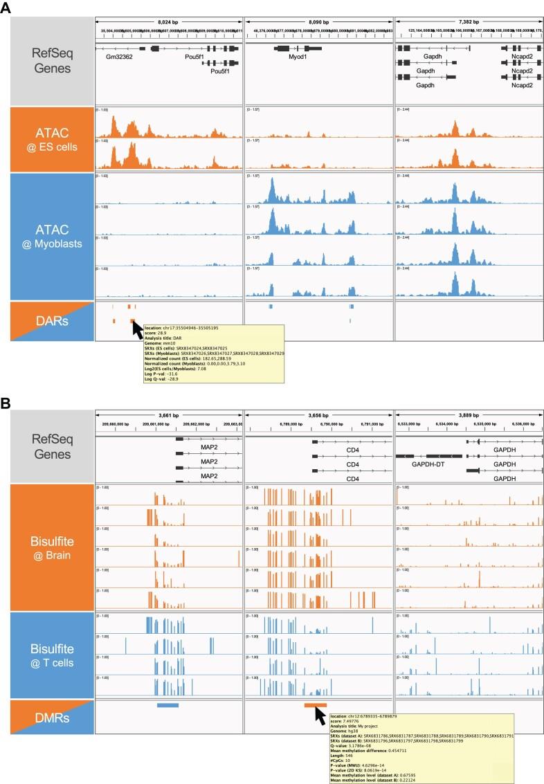 https://cdn.ncbi.nlm.nih.gov/pmc/blobs/8e2f/11223792/931a3a59eb4b/gkae358fig2.jpg