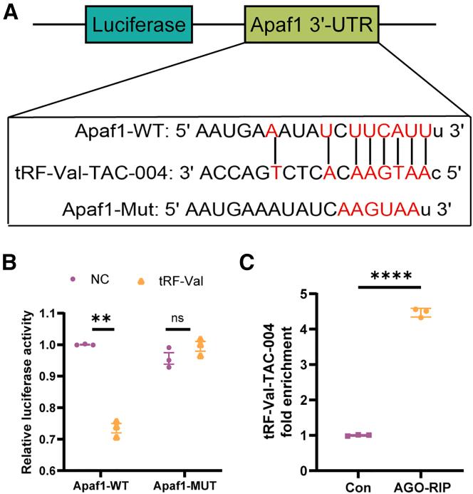 https://cdn.ncbi.nlm.nih.gov/pmc/blobs/8e2f/11914182/9ca2316bc636/gr9.jpg