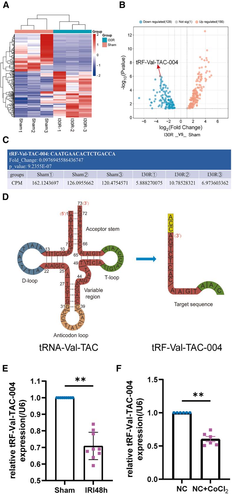 https://cdn.ncbi.nlm.nih.gov/pmc/blobs/8e2f/11914182/e8110d79f5e2/gr1.jpg