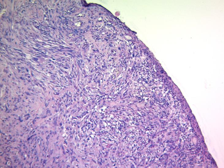 https://cdn.ncbi.nlm.nih.gov/pmc/blobs/8e30/9590819/6d8df62150f0/1853-0605-79-3-294-g002.jpg