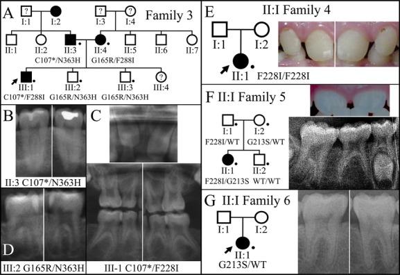 https://cdn.ncbi.nlm.nih.gov/pmc/blobs/8e31/4299714/58606b163ff6/mgg30003-0040-f7.jpg