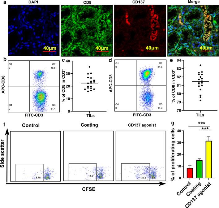 https://cdn.ncbi.nlm.nih.gov/pmc/blobs/8e36/7576737/e35d0a114845/12935_2020_1605_Fig3_HTML.jpg