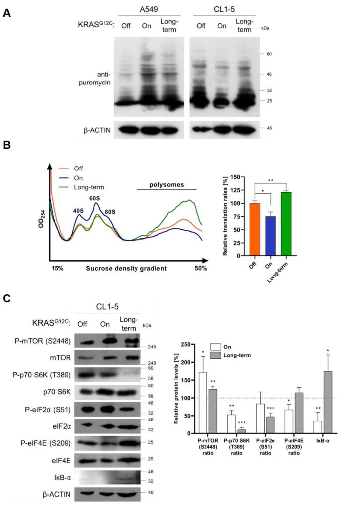 https://cdn.ncbi.nlm.nih.gov/pmc/blobs/8e39/7926983/552d53494ca1/ijms-22-02222-g004.jpg