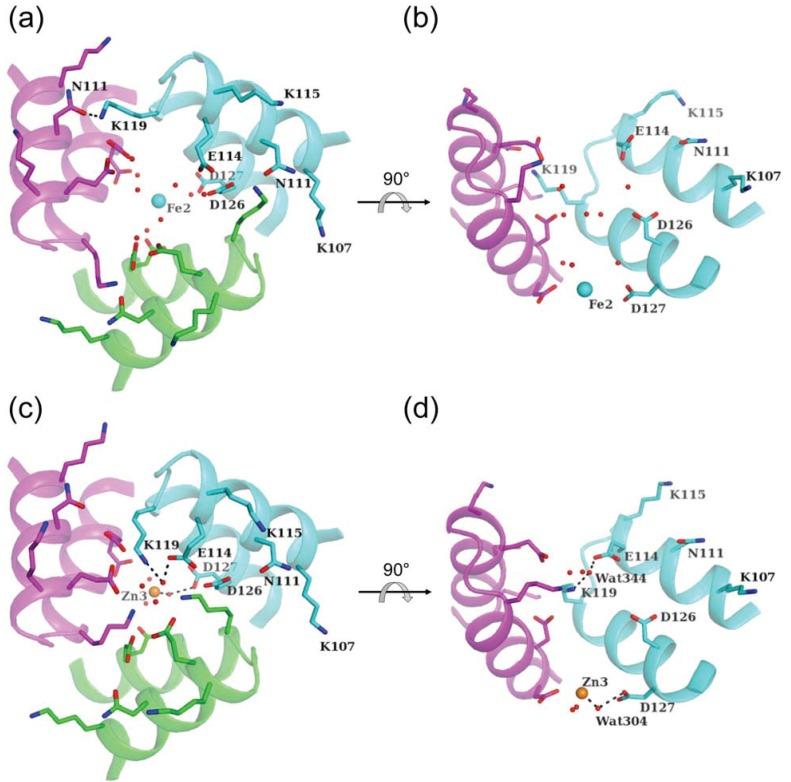 https://cdn.ncbi.nlm.nih.gov/pmc/blobs/8e3b/4192664/f184188e0cf9/biomolecules-04-00600-g006.jpg