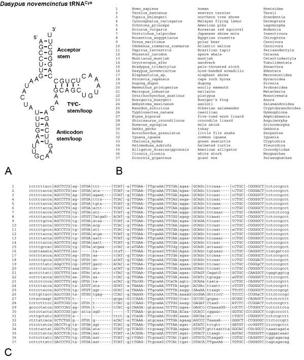 https://cdn.ncbi.nlm.nih.gov/pmc/blobs/8e3e/2206058/9895c101d31c/1471-2105-8-441-2.jpg