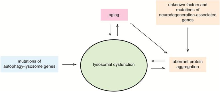 https://cdn.ncbi.nlm.nih.gov/pmc/blobs/8e3f/7817780/a2bfbd8090c8/fcell-08-595515-g003.jpg