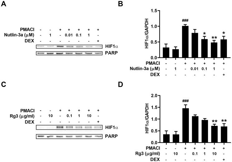 https://cdn.ncbi.nlm.nih.gov/pmc/blobs/8e3f/8587510/00caafbc1f8e/gr3.jpg