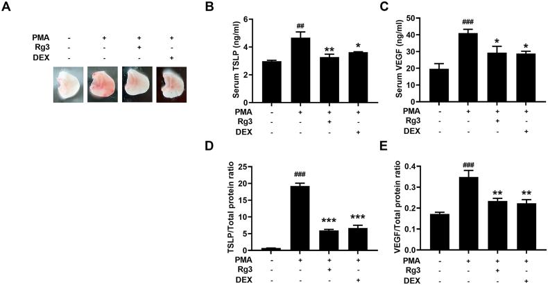 https://cdn.ncbi.nlm.nih.gov/pmc/blobs/8e3f/8587510/2c262a9ec883/gr4.jpg