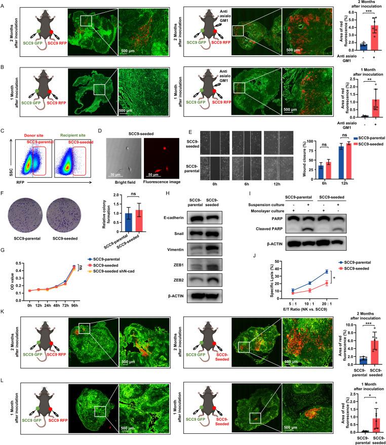 https://cdn.ncbi.nlm.nih.gov/pmc/blobs/8e41/9472211/47d5fd404902/jitc-2022-005061f01.jpg