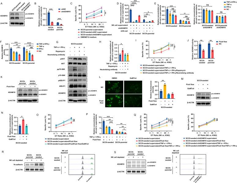 https://cdn.ncbi.nlm.nih.gov/pmc/blobs/8e41/9472211/6be808fa318f/jitc-2022-005061f05.jpg