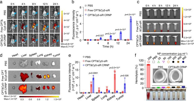https://cdn.ncbi.nlm.nih.gov/pmc/blobs/8e43/9873931/091ca79d1738/41467_2023_36045_Fig4_HTML.jpg