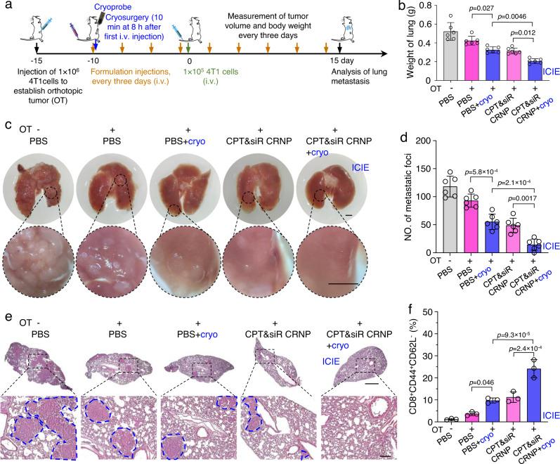 https://cdn.ncbi.nlm.nih.gov/pmc/blobs/8e43/9873931/494e8cce6711/41467_2023_36045_Fig8_HTML.jpg