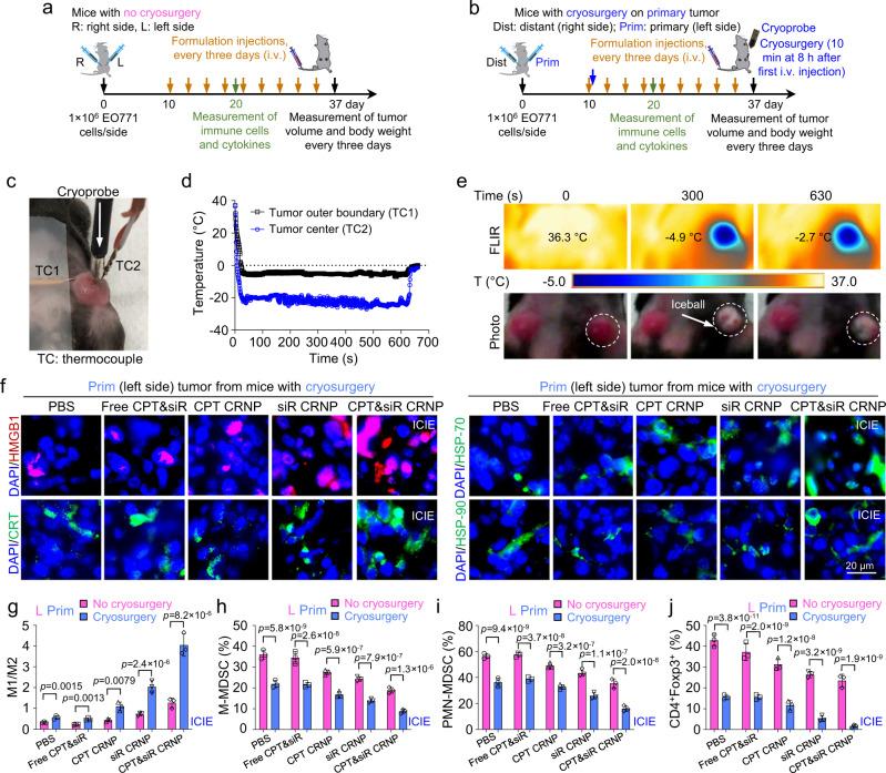 https://cdn.ncbi.nlm.nih.gov/pmc/blobs/8e43/9873931/5bbc8022faef/41467_2023_36045_Fig5_HTML.jpg