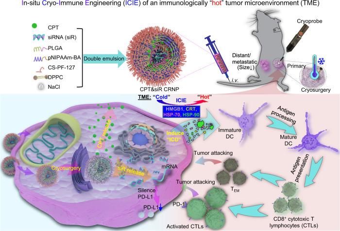 https://cdn.ncbi.nlm.nih.gov/pmc/blobs/8e43/9873931/68c1127829a3/41467_2023_36045_Fig1_HTML.jpg