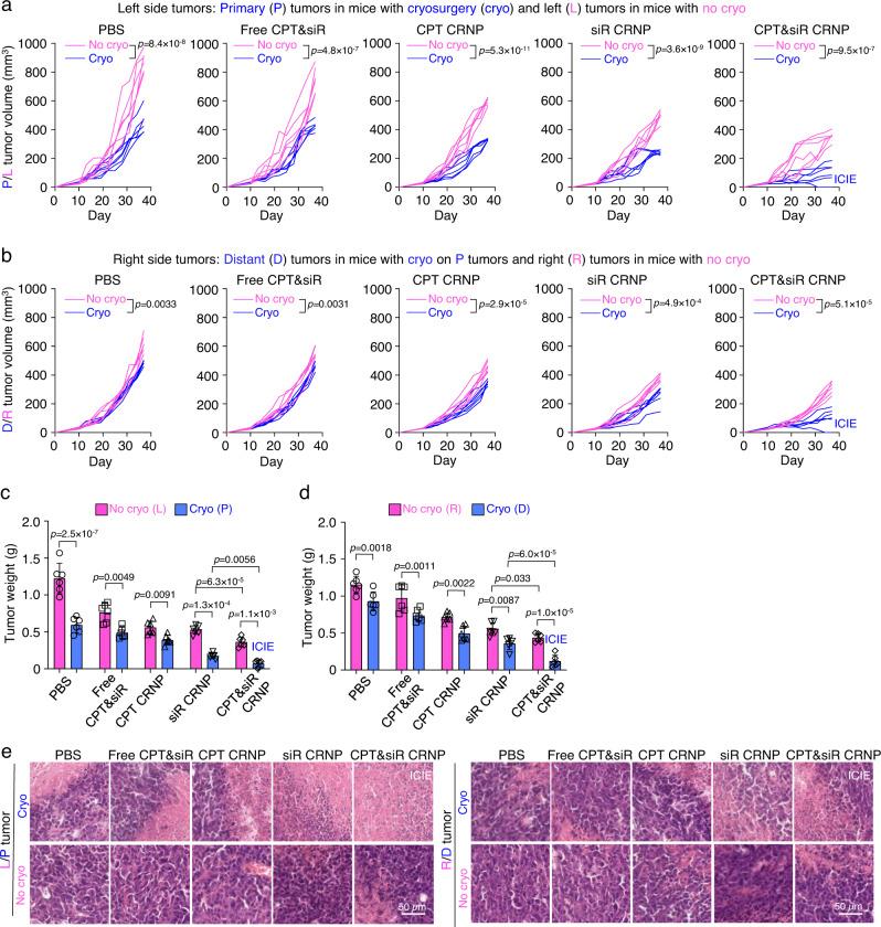 https://cdn.ncbi.nlm.nih.gov/pmc/blobs/8e43/9873931/6ad1e3a8a7a0/41467_2023_36045_Fig7_HTML.jpg