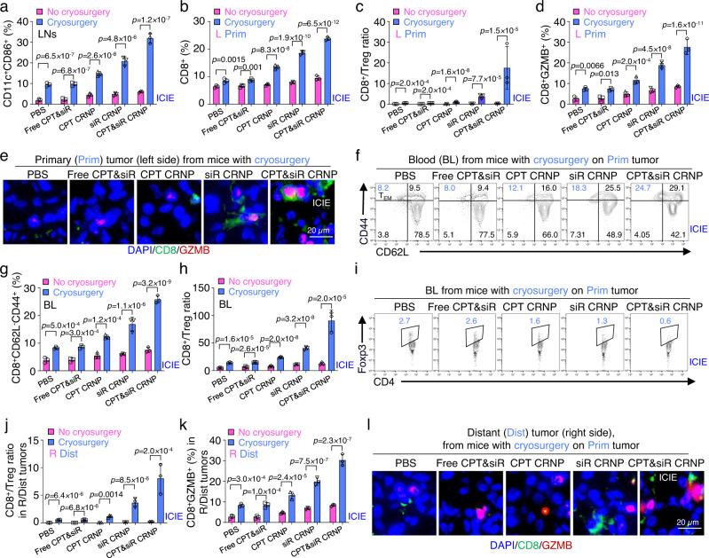 https://cdn.ncbi.nlm.nih.gov/pmc/blobs/8e43/9873931/a9595b589b51/41467_2023_36045_Fig6_HTML.jpg