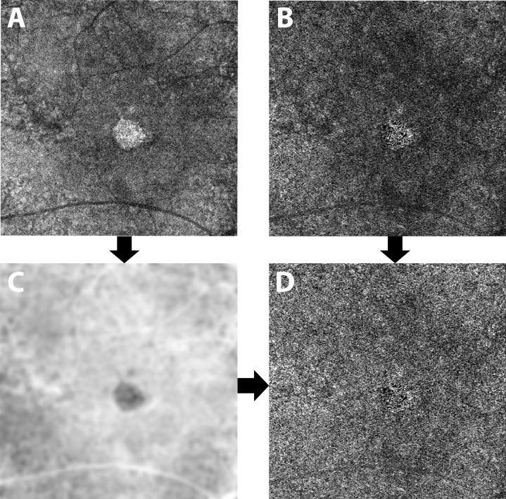 https://cdn.ncbi.nlm.nih.gov/pmc/blobs/8e44/6386298/119974aefdd7/pone.0212563.g001.jpg