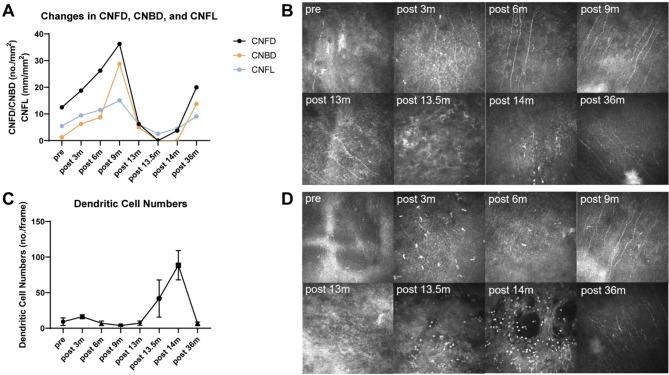 https://cdn.ncbi.nlm.nih.gov/pmc/blobs/8e46/12335426/df76bf60785a/12348_2025_521_Fig3_HTML.jpg