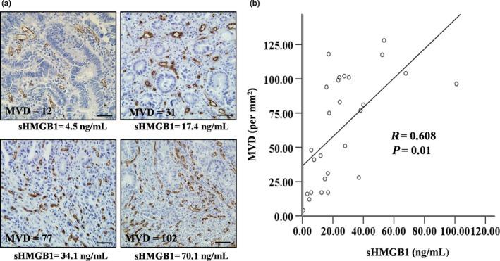 https://cdn.ncbi.nlm.nih.gov/pmc/blobs/8e47/5543560/437896ca2936/CAS-108-1594-g002.jpg