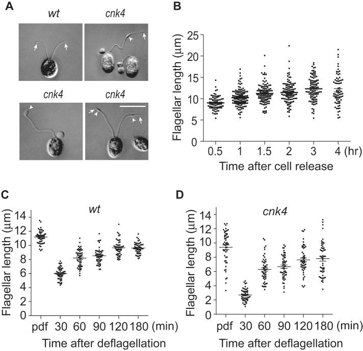 https://cdn.ncbi.nlm.nih.gov/pmc/blobs/8e4b/4803309/58a3bd6439d0/838fig4.jpg