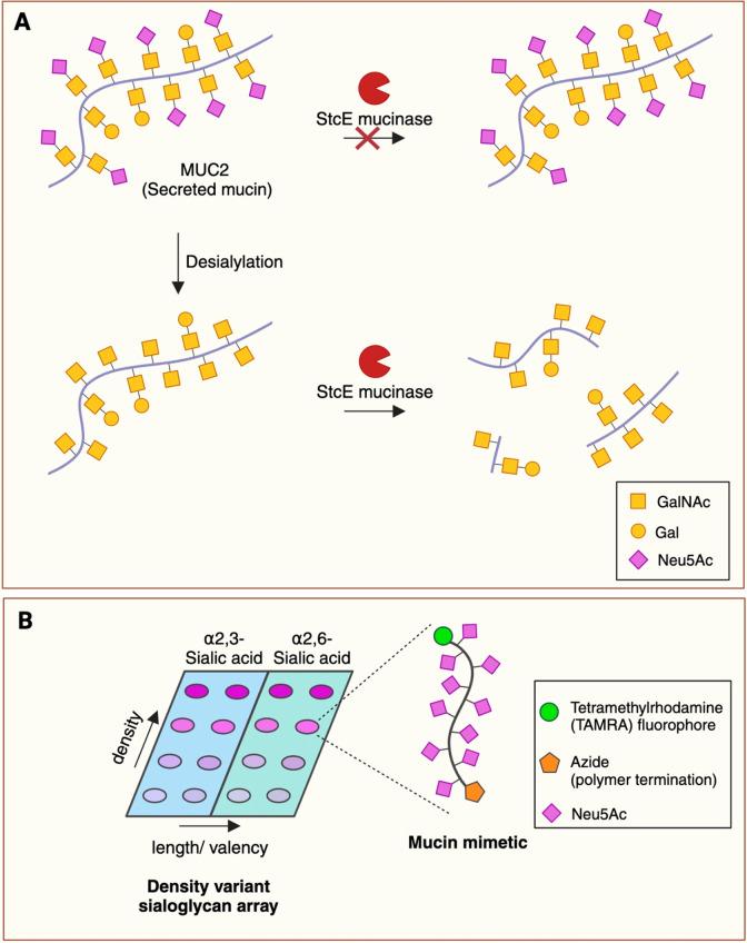 https://cdn.ncbi.nlm.nih.gov/pmc/blobs/8e4c/11320568/444407633c88/id4c00315_0002.jpg