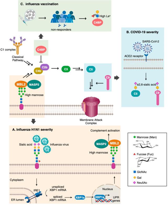 https://cdn.ncbi.nlm.nih.gov/pmc/blobs/8e4c/11320568/80c8229dfe45/id4c00315_0003.jpg