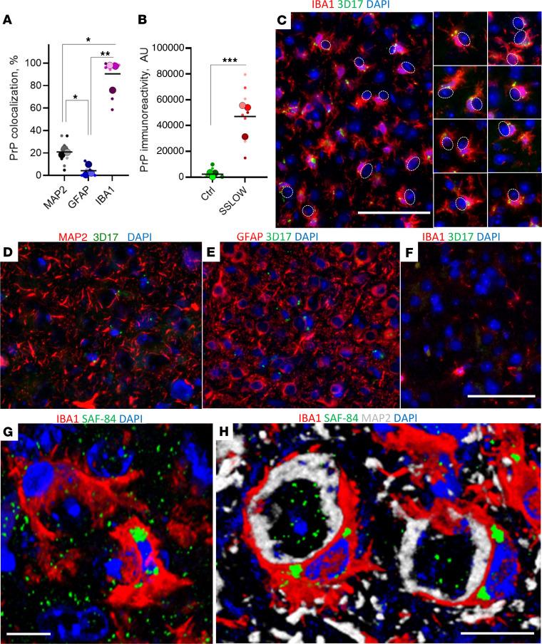 https://cdn.ncbi.nlm.nih.gov/pmc/blobs/8e4c/11601909/b797f2397b65/jci-134-181169-g033.jpg