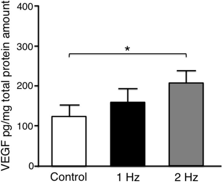 https://cdn.ncbi.nlm.nih.gov/pmc/blobs/8e4c/7037470/6e6724f340a4/ijms-21-01082-g006.jpg