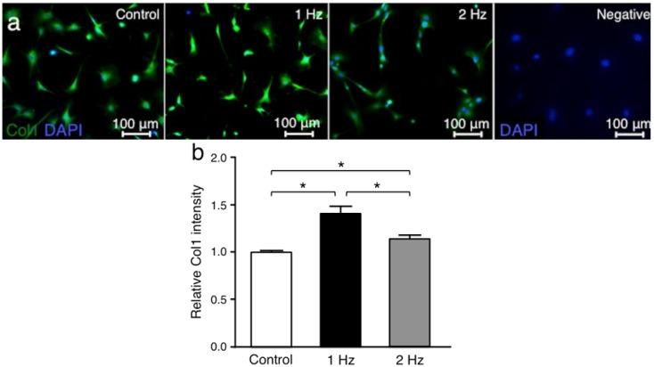 https://cdn.ncbi.nlm.nih.gov/pmc/blobs/8e4c/7037470/c0dc5ee1c673/ijms-21-01082-g004.jpg
