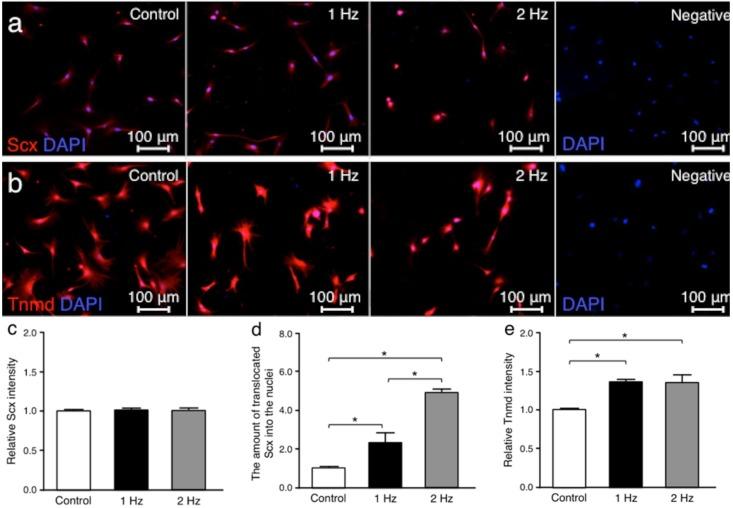 https://cdn.ncbi.nlm.nih.gov/pmc/blobs/8e4c/7037470/cd96fd179ce0/ijms-21-01082-g003.jpg