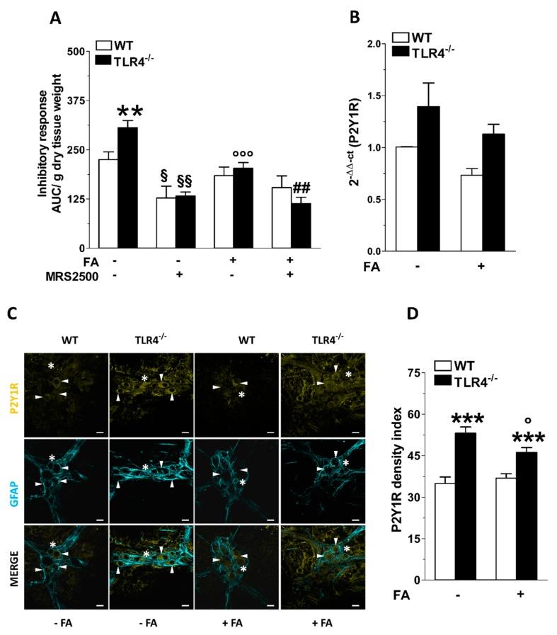 https://cdn.ncbi.nlm.nih.gov/pmc/blobs/8e4c/7226836/97bfdd29463b/cells-09-00838-g005.jpg