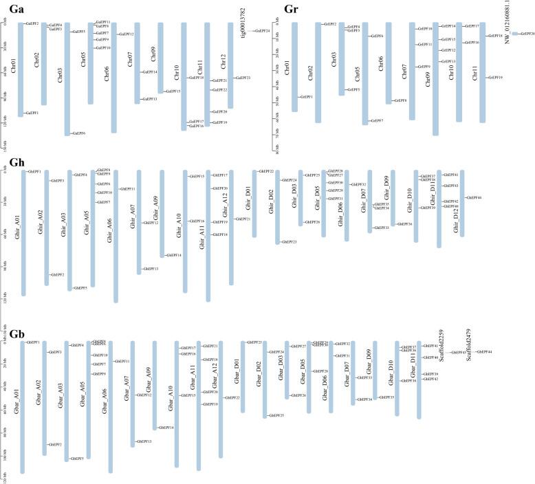 https://cdn.ncbi.nlm.nih.gov/pmc/blobs/8e4e/11177404/7446718627fe/12870_2024_5262_Fig2_HTML.jpg