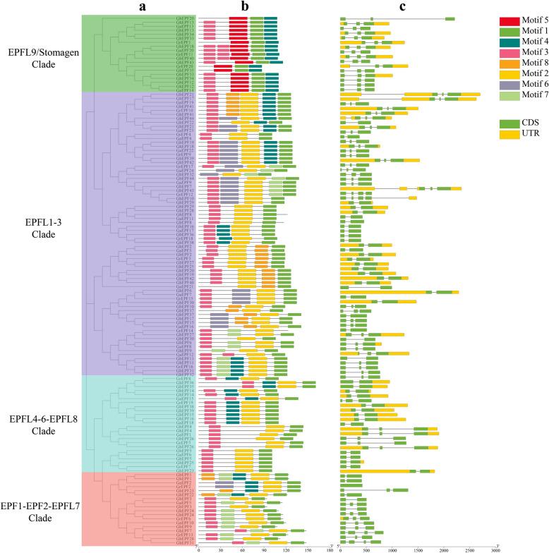 https://cdn.ncbi.nlm.nih.gov/pmc/blobs/8e4e/11177404/8770680a313a/12870_2024_5262_Fig3_HTML.jpg