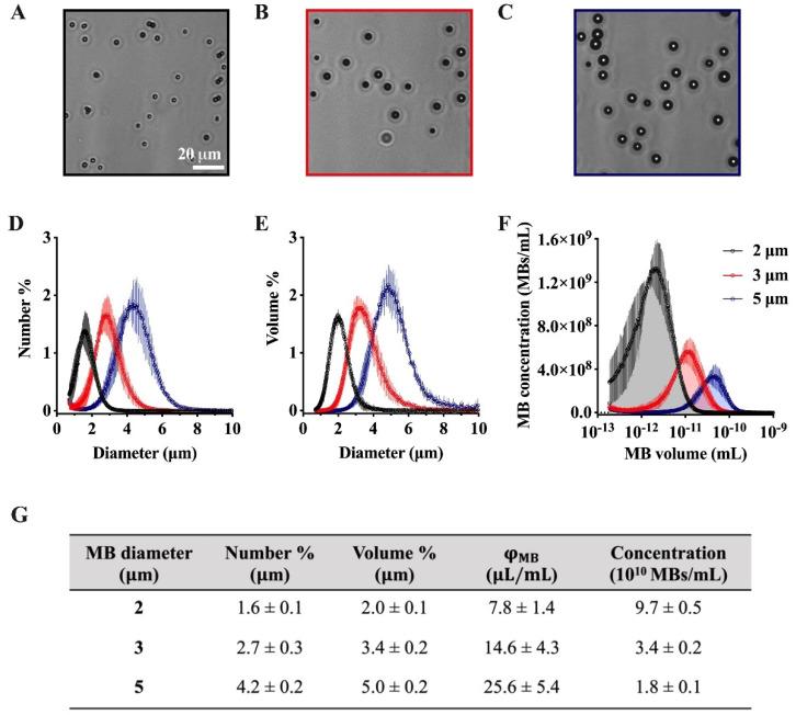 https://cdn.ncbi.nlm.nih.gov/pmc/blobs/8e50/10302530/d21b30a4edf8/pharmaceutics-15-01625-g005.jpg