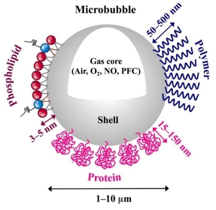 https://cdn.ncbi.nlm.nih.gov/pmc/blobs/8e50/10302530/f4e5b2bbd0e6/pharmaceutics-15-01625-g001.jpg