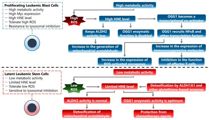 https://cdn.ncbi.nlm.nih.gov/pmc/blobs/8e50/10778025/6549ebfe210c/cancers-16-00148-g003.jpg