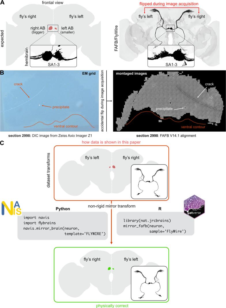 https://cdn.ncbi.nlm.nih.gov/pmc/blobs/8e54/11446831/379b30b1d868/41586_2024_7686_Fig7_ESM.jpg