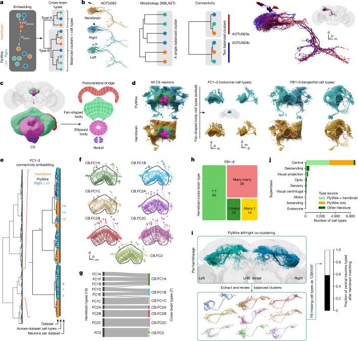 https://cdn.ncbi.nlm.nih.gov/pmc/blobs/8e54/11446831/b78769e7d96c/41586_2024_7686_Fig6_HTML.jpg
