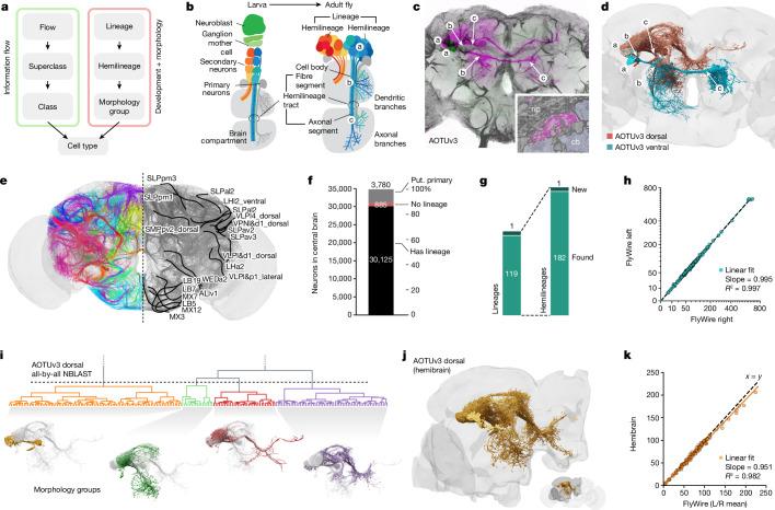 https://cdn.ncbi.nlm.nih.gov/pmc/blobs/8e54/11446831/e11760043866/41586_2024_7686_Fig2_HTML.jpg