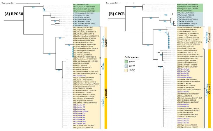 https://cdn.ncbi.nlm.nih.gov/pmc/blobs/8e55/11125814/e8cc53e0b059/viruses-16-00762-g003.jpg