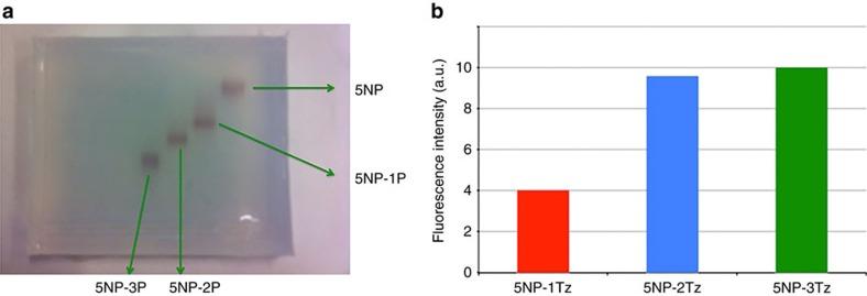 https://cdn.ncbi.nlm.nih.gov/pmc/blobs/8e55/5187442/c622af298258/ncomms13818-f2.jpg
